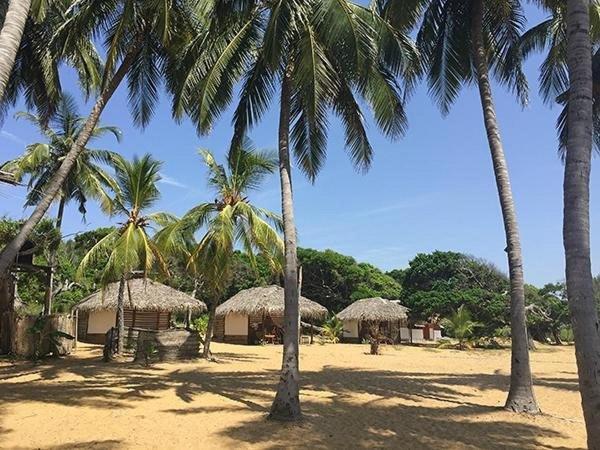 Upali Beach Surf Resort & Cafe Arugam Bay Exterior photo